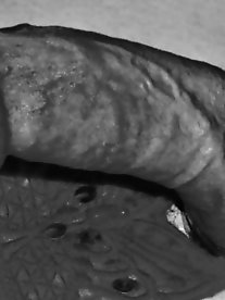 Shocking shemale chicks were drilled